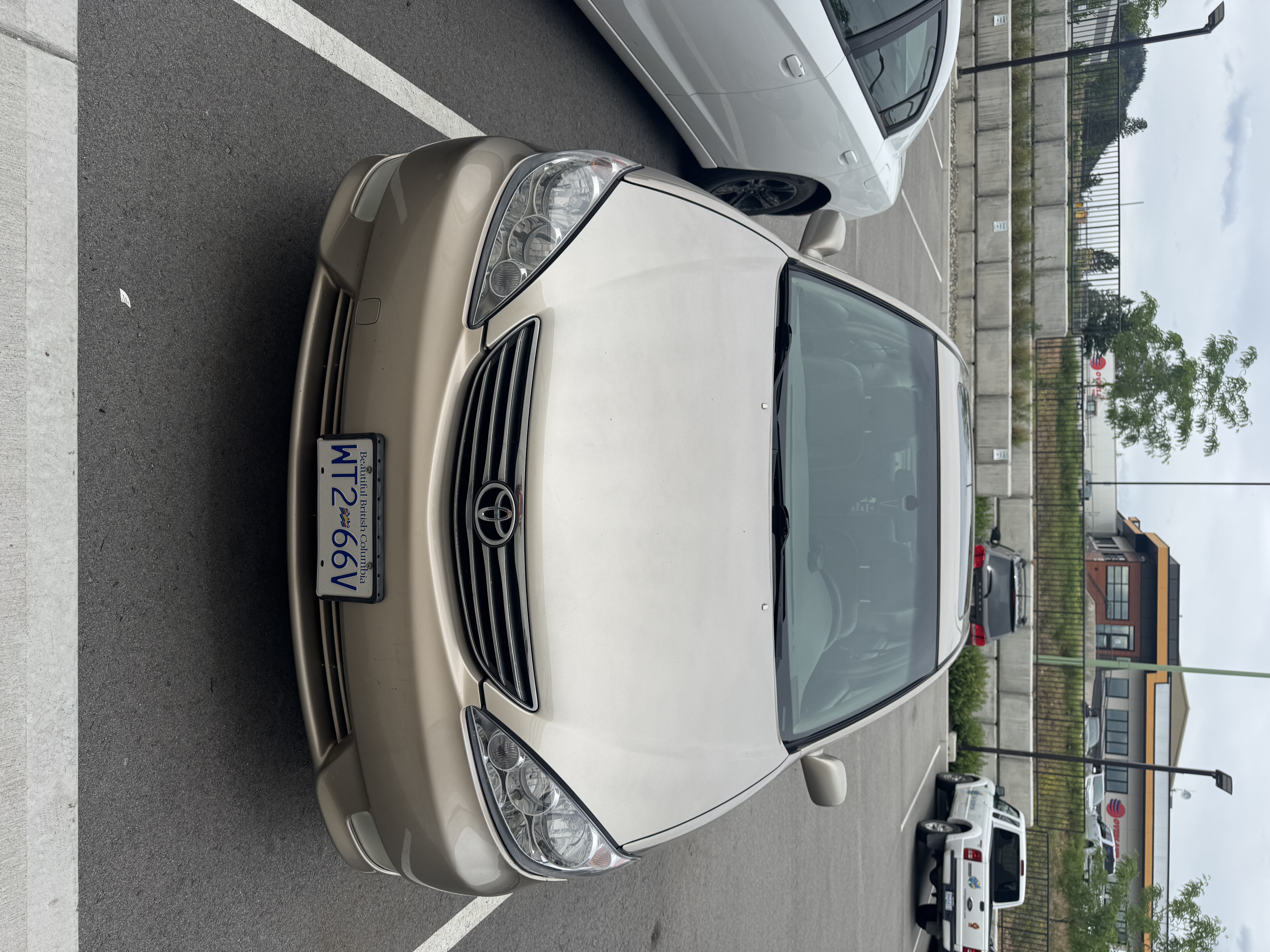 Toyota Camry Xle (2005)